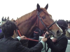 桜花賞18 本命ラッキーライラックの血統やイケメン騎手と死角について 馬楽園的注目馬 マイナー血統の競馬浪漫 馬楽園 Com